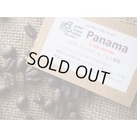 ***SOLD OUT***パナマ・ゴールデンビートル農園