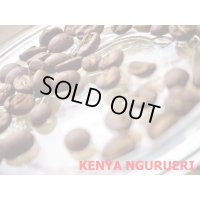***SOLDOUT***ケニア・ングルエリ農協/Kenya Ngurueri