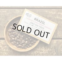 SOLDOUT！！ブラジル・バウー農園/VALED CRISTAL/ドライオンツリー/Tomio Fukuda D.O.T(ハイロースト）