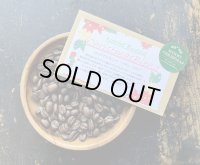 SOLDOUT★クリスマスブレンド「ノチェブエナ」ChristmasBlend「NocheBuena」（ハイロースト）