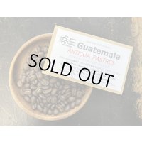 SOLDOUT！！　 グアテマラ・アンティグア・パストレス / ANTIGUA / PASTRES / ミディアム〜ハイロースト