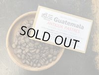 SOLDOUT！！　 グアテマラ・アンティグア・パストレス / ANTIGUA / PASTRES / ミディアム〜ハイロースト