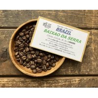 ***NEW***ブラジル・バイショ・ダ・セーラ農園/FAZENDA BAIXAO DA SERRA/ミディアム〜ハイロースト