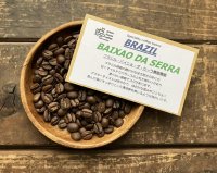 ***NEW***ブラジル・バイショ・ダ・セーラ農園/FAZENDA BAIXAO DA SERRA/ミディアム〜ハイロースト