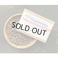 SOLDOUT グアテマラ・ラス・ヌベス農園/ RED BOURBON /Antigua / ミディアム〜ハイロースト