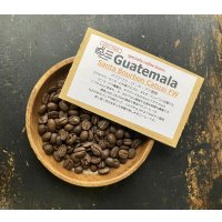 産地買付■グアテマラ・サンタ・アナ農園/ BOURBON /FW / ミディアム〜ハイロースト