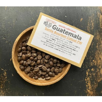 画像1: 産地買付■グアテマラ・サンタ・アナ農園/ BOURBON /FW / ミディアム〜ハイロースト