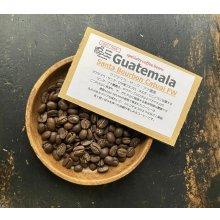 他の写真1: 産地買付■グアテマラ・サンタ・アナ農園/ BOURBON /FW / ミディアム〜ハイロースト