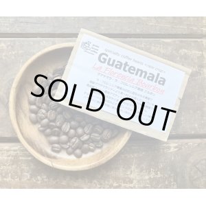 画像: SOLDOUT!!　グアテマラ・フロレンシア農園/LaFlorencia/ミディアム〜ハイロースト