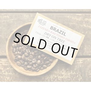 画像: SOLDOUT！！ブラジル・バウー農園/VALED CRISTAL/ドライオンツリー/Tomio Fukuda D.O.T(ハイロースト）