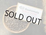 画像: SOLDOUT！！　 グアテマラ・アンティグア・パストレス / ANTIGUA / PASTRES / ミディアム〜ハイロースト