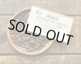 画像: SOLDOUT　ブラジル・バイショ・ダ・セーラ農園/FAZENDA BAIXAO DA SERRA/ミディアム〜ハイロースト