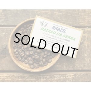 画像: SOLDOUT　ブラジル・バイショ・ダ・セーラ農園/FAZENDA BAIXAO DA SERRA/ミディアム〜ハイロースト