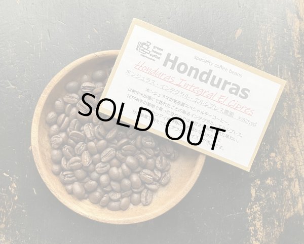 画像1: SOLDOUT!! ホンジュラス・インテグラル・エルシプレス農園 / Integral El Cipres / WASHED / ミディアム〜ハイロースト (1)