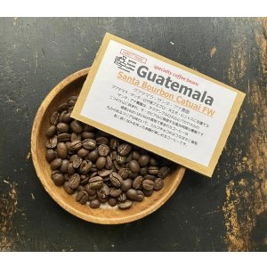 画像: 産地買付■グアテマラ・サンタ・アナ農園/ BOURBON /FW / ミディアム〜ハイロースト